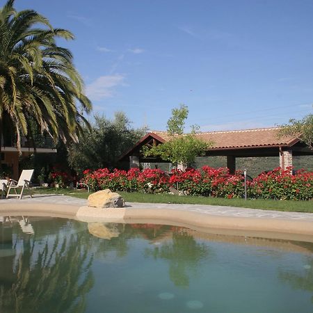 Agriturismo Ada Musso Ss Diano Borello Экстерьер фото
