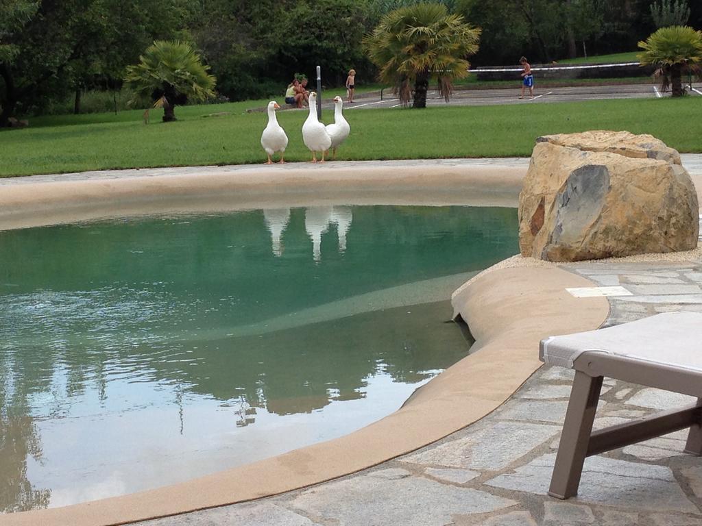 Agriturismo Ada Musso Ss Diano Borello Экстерьер фото