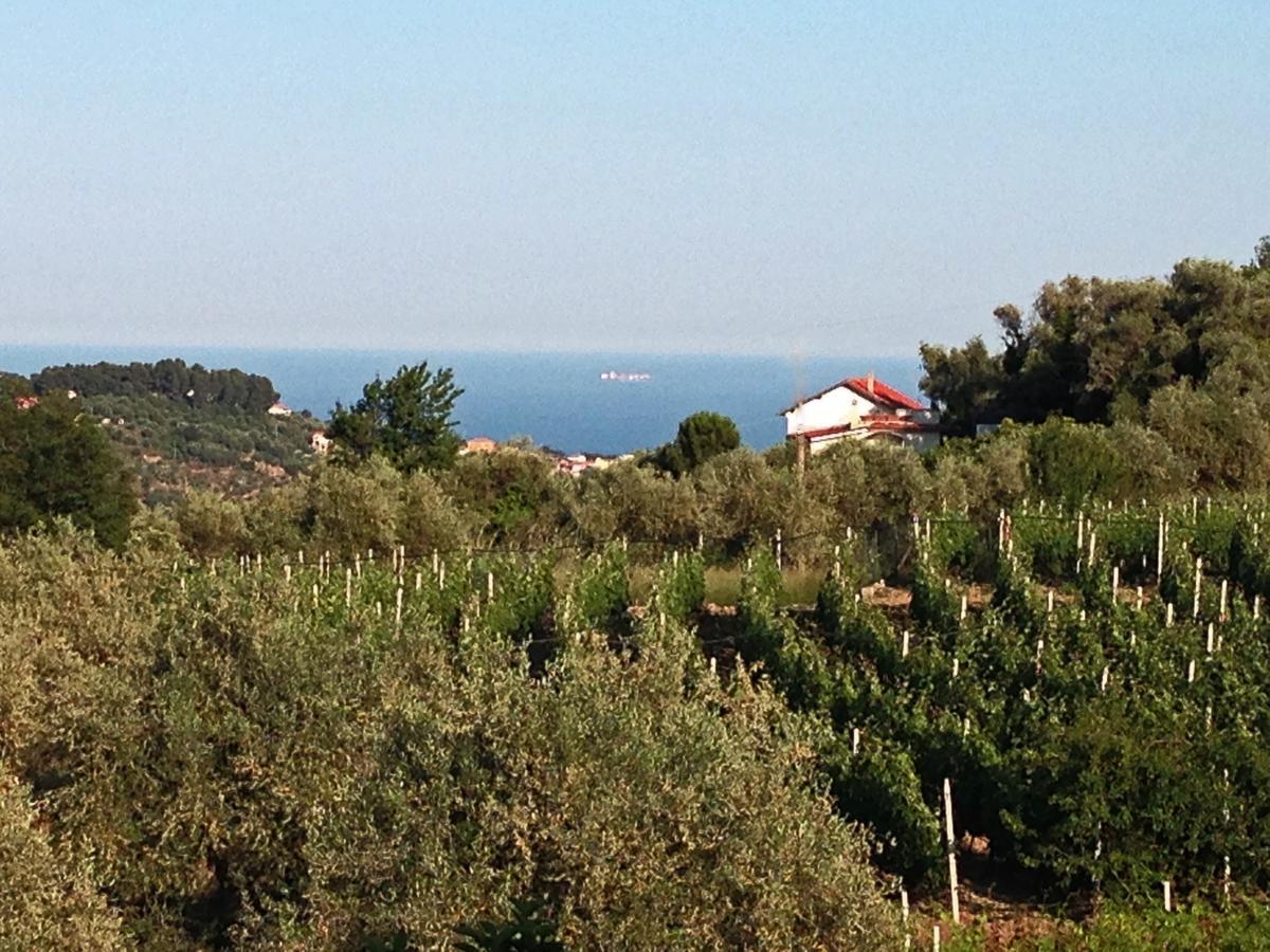 Agriturismo Ada Musso Ss Diano Borello Номер фото