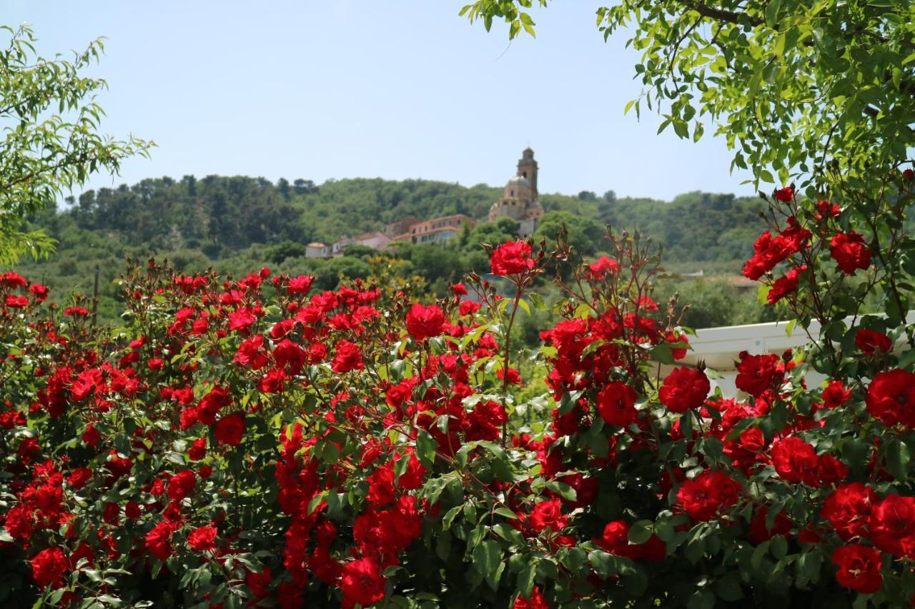 Agriturismo Ada Musso Ss Diano Borello Экстерьер фото